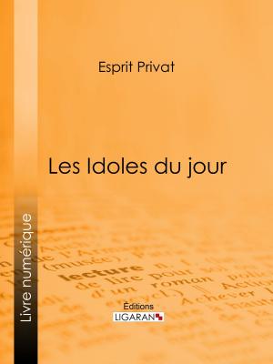 Cover of the book Les Idoles du jour by Gustave Geffroy, Ligaran