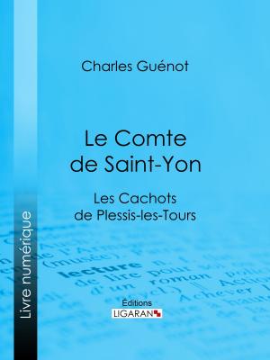 Cover of the book Le Comte de Saint-Yon by Victor Cousin, Ligaran
