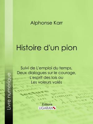 Cover of the book Histoire d'un pion by Wennermark Erik