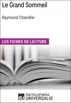 Cover of the book Le Grand Sommeil de Raymond Chandler by Terri Muuss
