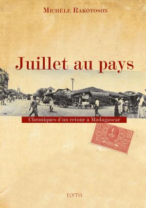Cover of the book Juillet au pays by Merri Melde