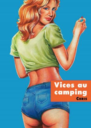 Cover of the book Vice au camping by D.t. Cholstitz