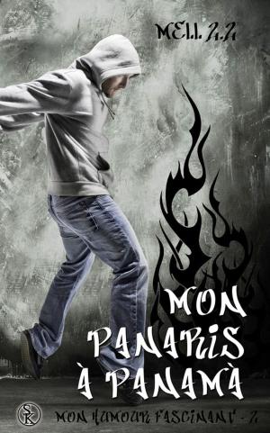 Cover of the book Mon panaris à Panama by Angie L. Deryckère