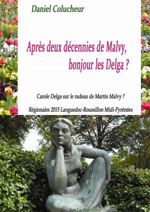 Cover of the book Après deux décennies de Malvy, bonjour les Delga ? by Stéphane Ternoise, Kate-Marie Glover