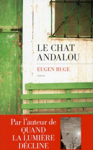 Cover of the book Le Chat andalou by LONELY PLANET FR