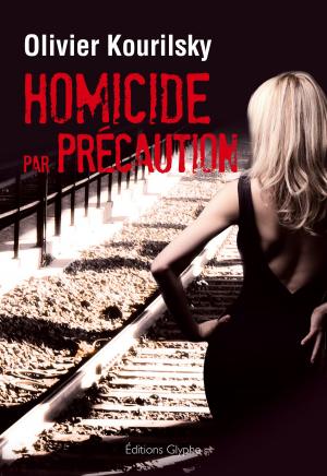 Cover of the book Homicide par précaution by Evelyne Dress