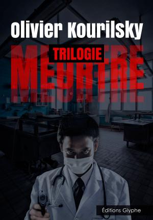 Cover of the book Meurtre, la trilogie by Evelyne Dress