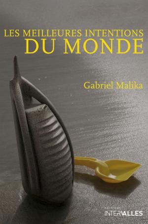Cover of the book Les meilleures intentions du monde by Carole Zalberg