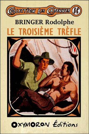 Book cover of Le troisième trèfle