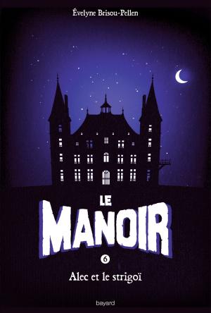 Book cover of Le Manoir, Tome 6