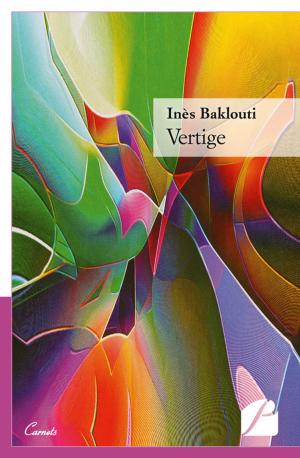 Cover of the book Vertige by Véronique Minet