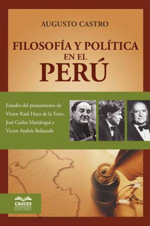 Cover of the book Filosofía y Política en el Perú by Danilo Martuccelli