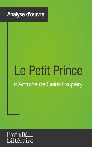 Cover of the book Le Petit Prince d'Antoine de Saint-Exupéry (Analyse approfondie) by Catherine Castaings