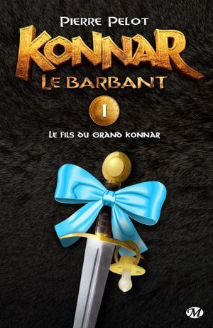 Book cover of Le Fils du Grand Konnar