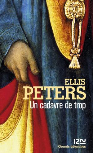 Cover of the book Un cadavre de trop by Viviane MOORE