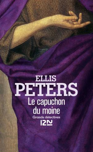 Cover of the book Le capuchon du moine by Franck THILLIEZ