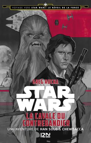 Cover of the book Voyage vers Star Wars - tome 1 : Le réveil de la force - La cavale du contrebandier by Frédéric DARD