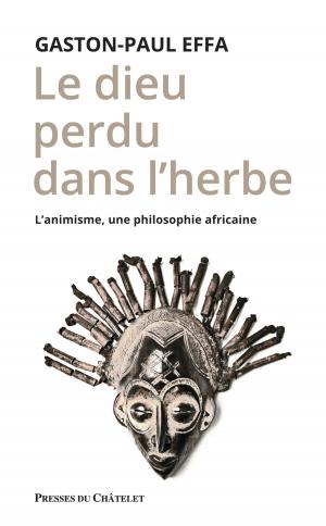 Cover of the book Le Dieu perdu dans l'herbe by Erik Pigani