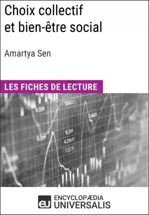 Cover of the book Choix collectif et bien-être social d'Amartya Sen by Michael J. Panzner