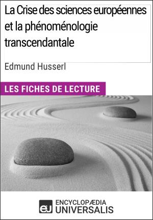 bigCover of the book La Crise des sciences européennes et la phénoménologie transcendantale d'Edmund Husserl by 