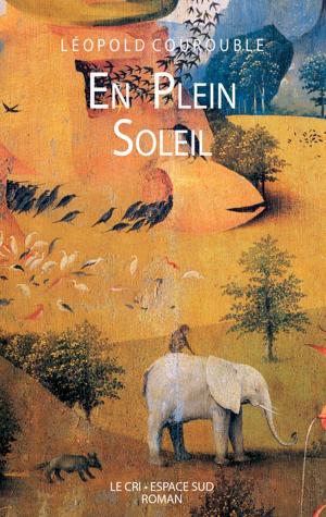 Cover of the book En plein soleil by Axel Jensen