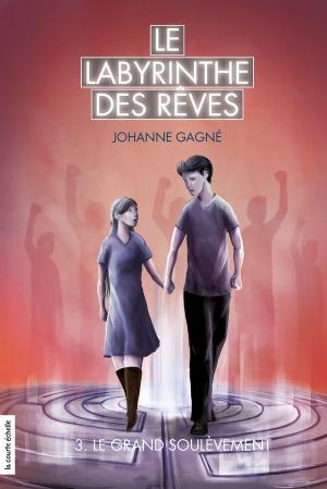 Cover of the book Le grand soulèvement by Charlotte Gingras