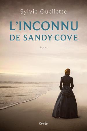 Cover of the book L'inconnu de Sandy Cove by Martin Robitaille