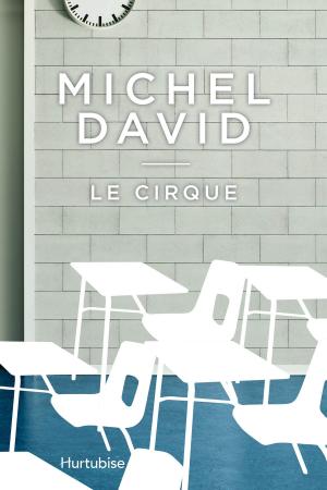 Cover of the book Le cirque by Michel Langlois
