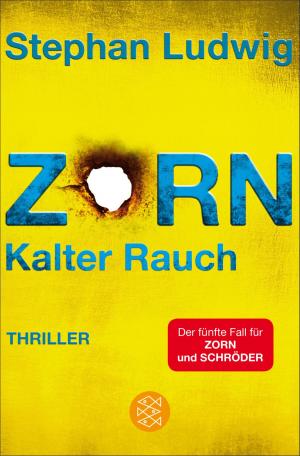 Book cover of Zorn 5 - Kalter Rauch