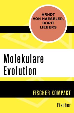 Cover of the book Molekulare Evolution by Prof. Dr. Andreas Eckert