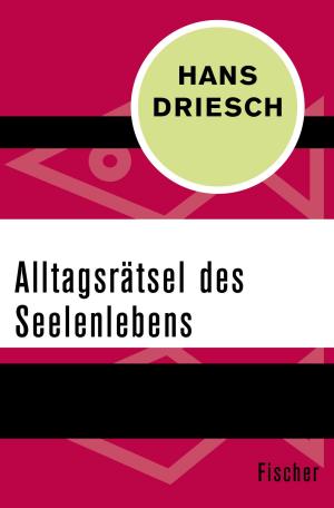 Cover of Alltagsrätsel des Seelenlebens