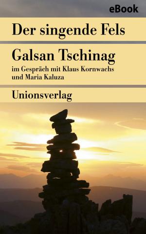 Book cover of Der singende Fels – Schamanismus, Heilkunde, Wissenschaft