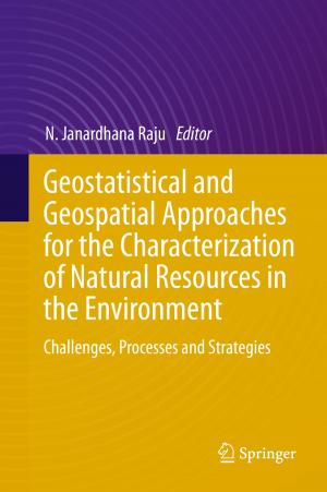 Cover of the book Geostatistical and Geospatial Approaches for the Characterization of Natural Resources in the Environment by Alexander A. Avdeev