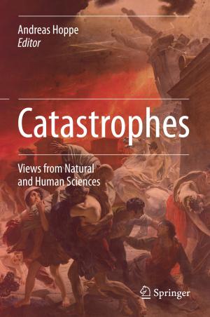 Cover of the book Catastrophes by Birte Heidemann