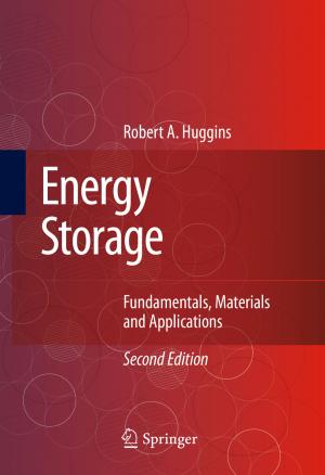 Cover of the book Energy Storage by Brian Dolber