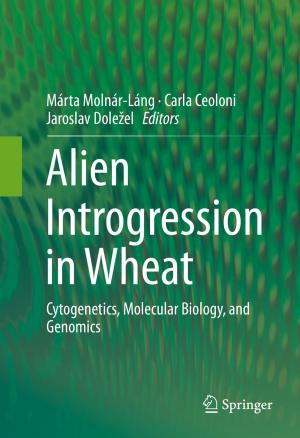 Cover of the book Alien Introgression in Wheat by Itai Benjamini