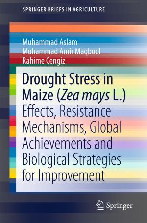 Cover of the book Drought Stress in Maize (Zea mays L.) by Stefano Crespi Reghizzi, Luca Breveglieri, Angelo Morzenti