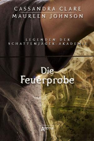 Book cover of Die Feuerprobe