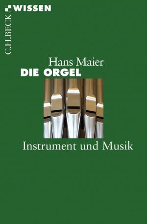 Cover of the book Die Orgel by Johannes Fried