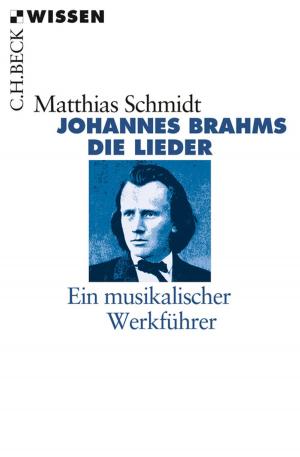 Cover of the book Johannes Brahms by Johannes Fried