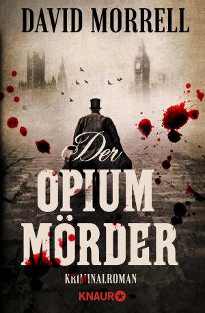 Cover of the book Der Opiummörder by Thomas Thiemeyer
