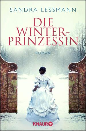 Cover of the book Die Winterprinzessin by Maggie Stiefvater