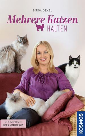 Cover of the book Mehrere Katzen halten by Antje Szillat