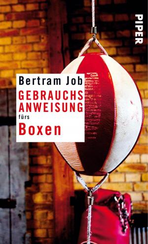 Cover of the book Gebrauchsanweisung fürs Boxen by Andreas Brandhorst