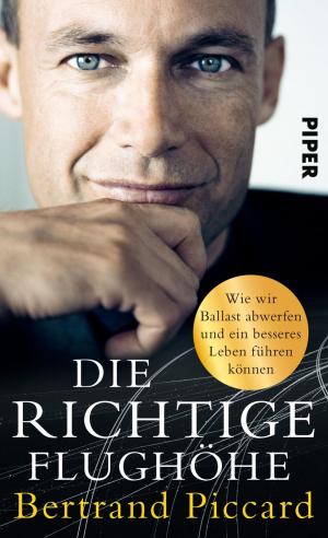 Cover of Die richtige Flughöhe