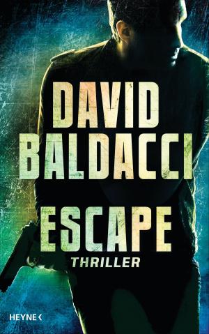 Cover of the book Escape by Noah Gordon