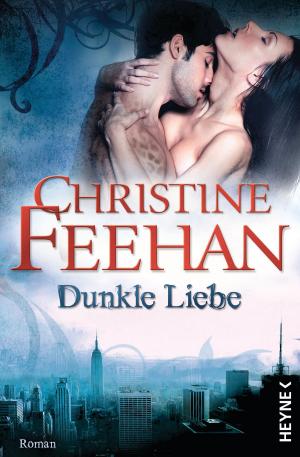 Cover of the book Dunkle Liebe by Jay Bonansinga, Robert Kirkman