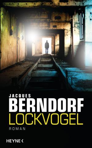 Cover of the book Lockvogel by Jeff Abbott