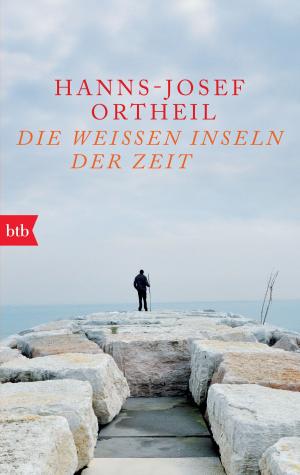 Cover of the book Die weißen Inseln der Zeit by Ernest van der Kwast