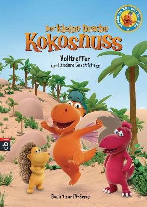 Book cover of Der kleine Drache Kokosnuss - Volltreffer und andere Geschichten